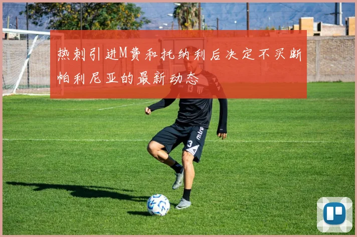 热刺引进M费和托纳利后决定不买断帕利尼亚的最新动态